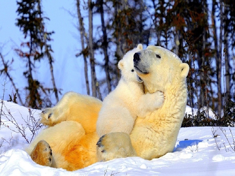 王女士成功案例